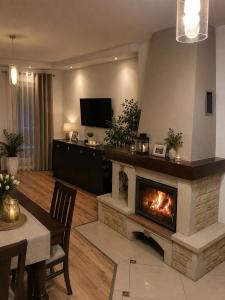 a living room with a fireplace and a television at Noclegi na winnicy in Dys