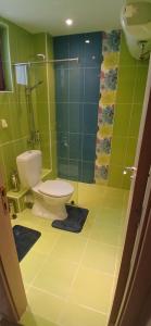 a green bathroom with a toilet and a shower at Къща Уют in Rogachevo +15 photos