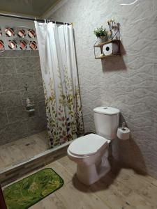 a bathroom with a toilet and a shower at Apartaestudio Queremal in Papagalleros