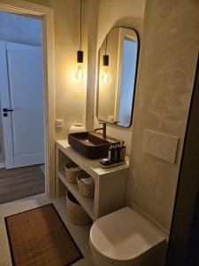 a bathroom with a sink and a toilet and a mirror at PineHills in Mărişel +7 photos