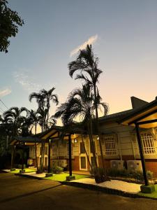 a building with palm trees in front of it at 躺平青旅-住宿推薦 in Minxiong