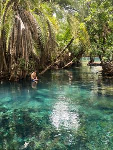 a man in the water in a river with palm trees at Janibichi Adventures hostel in Moshi