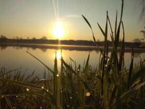 a sunset over a lake with tall grass at Villa Metschke in Hähnichen