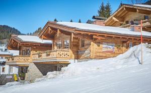 Panorama Chalets v zime
