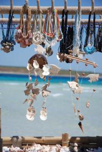 a group of shells hanging from a pier at Casetta D'Este in Palmadula