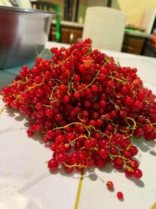 a bunch of red berries sitting on top of a table at Guest House Archa in Tong
