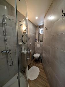 a bathroom with a shower and a toilet at Ciel de Cannes in Cannes +26 photos