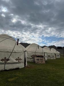 a row of four white tents in a field at Kel-Suu Manap in Kol-Suu +8 photos