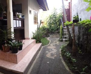 Zahrada ubytování Pancer House