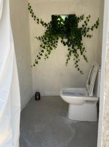 a bathroom with a toilet and a potted plant at Aluna Camp in Nudo