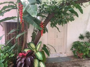 a tree with red flowers in front of a door at Le Jardin Suffren LOFT in Jāmb
