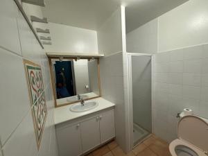 a bathroom with a sink and a mirror and a toilet at Résidence le patio - Mimizan plage in Mimizan-Plage