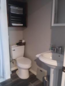 a bathroom with a white toilet and a sink at Cozy Private Studio in Des Moines