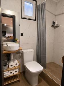 a bathroom with a toilet and a sink and a shower at Panorama House in Bartolovci +7 photos