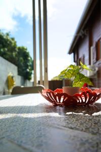 a red plate with a plant on a table at Bungalow Le Cocotier in Sainte-Rose