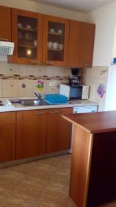a kitchen with wooden cabinets and a sink and a counter at Apartment Bruna in Bužinija