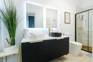 a bathroom with a sink and a toilet at Downtown Bucharest Villa Private Garden & Garage for Parking in Bucharest