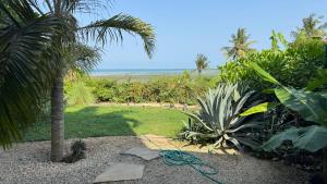 a garden with a hose attached to a palm tree at ZanziStar Beach Hotel in Mfumbwi