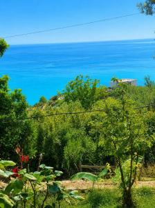 a view of the ocean from a garden at Rajan apartement in Piqeras