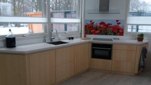 une cuisine avec évier et une fenêtre ornée de fleurs rouges dans l'établissement Het Findament Tiny house, à Hilversum