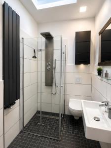 a bathroom with a shower and a toilet and a sink at Apartment 202 in Bernau bei Berlin