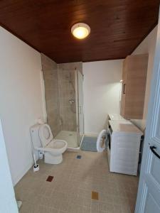a bathroom with a toilet and a shower and a sink at Appartement avec jardin privé à 5 min du Cheylard & Dolce Via - Vacances natures, vélo & randos in Accons +7 photos