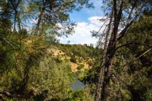 a view of a river through the trees at Russian River Camping Resort One-Bedroom Cabin 2 in Cloverdale