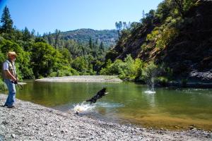 a man and a dog playing in a lake at Russian River Camping Resort One-Bedroom Cabin 2 in Cloverdale