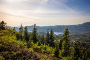 a view from the top of a hill with trees at Snowflower Camping Resort 16 ft. Yurt 10 in Emigrant Gap