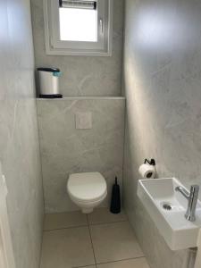 a bathroom with a toilet and a sink and a window at Waddenlodge Exclusive in Harlingen +28 photos