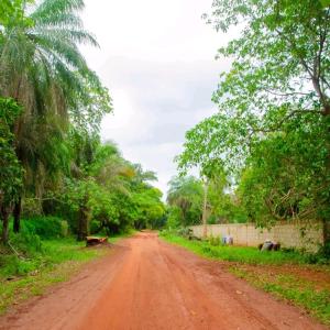 a dirt road with trees on either side of it at SEN-CASA- TOURiSME in Kabadio