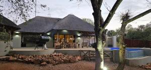 a flock of chickens in front of a house at Pata Pata House in Marloth Park