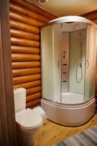 a bathroom with a shower and a toilet at Готель Кумир in Rivne +20 photos