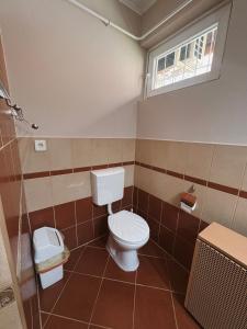 a bathroom with a toilet and a window at Vank Apartman Barcs in Barcs +5 photos