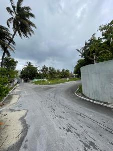 an empty road with a palm tree and a wall at Bahee Dé Lite in Kulhudhuffushi