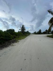 an empty road with palm trees on the side at Bahee Dé Lite in Kulhudhuffushi