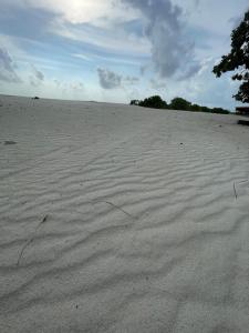 a large sand field with trees in the distance at Bahee Dé Lite in Kulhudhuffushi