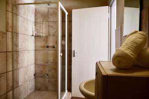 a bathroom with a shower with a toilet and a sink at De Trout Huis Guesthouse in Dullstroom +76 photos