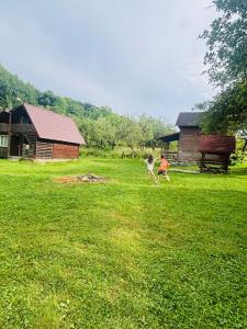 two children running in a field of green grass at Sătucul de Vacanță Brăduleț in Uleni