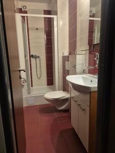 a bathroom with a shower and a toilet and a sink at Hotel Bellevue in Doksy