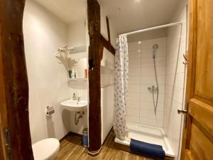 ein Badezimmer mit Dusche, Toilette und Waschbecken in der Unterkunft Klosterherberge in Meßkirch + 27 Fotos