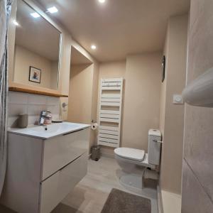 a bathroom with a white toilet and a sink at Le Jardin de Courcelle in Gif-sur-Yvette