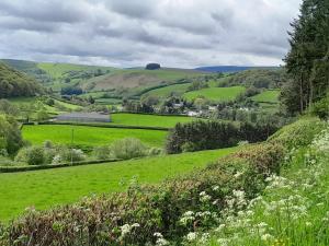 a green hillside with green fields and trees at The Old Saw Mill in Llangunllo
