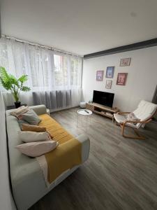 a living room with a bed and a couch and a tv at Appartement hyper-centre Stella in Dunkerque