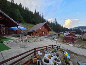 a building with a group of plants in front of it at Cabanutele Geo in Lacu Rosu +8 photos