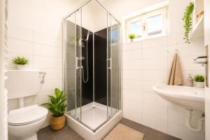a bathroom with a shower and a toilet and a sink at Inter-nautika doo in Jezera +40 photos