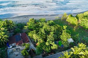an aerial view of a house and the beach at Fresh Beach Resort in Cateel