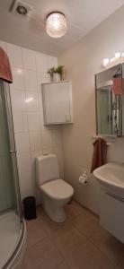 a bathroom with a toilet and a sink at Guesthouse Klambrasel in Skogar