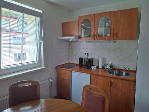a small kitchen with a table and a sink at Pension Villa Maria in Karlovy Vary