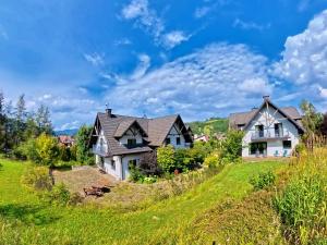 a house on a hill with a green field at Otulina Park in Szczawnica